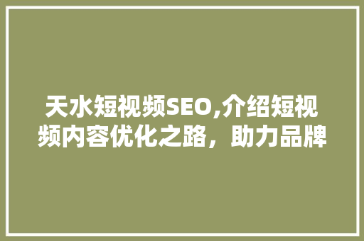 天水短视频SEO,介绍短视频内容优化之路，助力品牌快速崛起