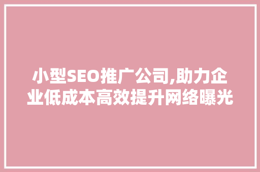 小型SEO推广公司,助力企业低成本高效提升网络曝光度