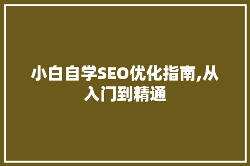 小白自学SEO优化指南,从入门到精通