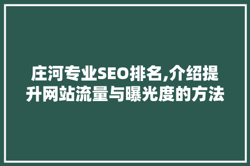 庄河专业SEO排名,介绍提升网站流量与曝光度的方法