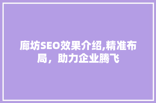 廊坊SEO效果介绍,精准布局，助力企业腾飞