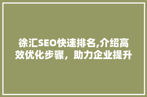 徐汇SEO快速排名,介绍高效优化步骤，助力企业提升网络竞争力