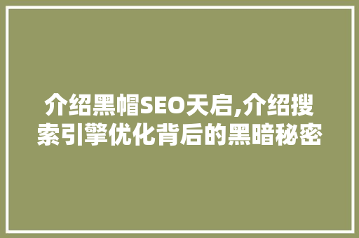介绍黑帽SEO天启,介绍搜索引擎优化背后的黑暗秘密