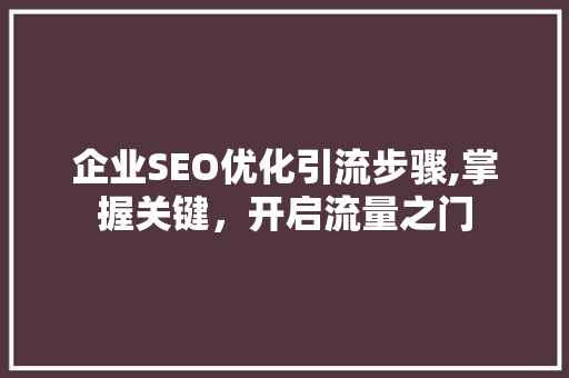 企业SEO优化引流步骤,掌握关键，开启流量之门