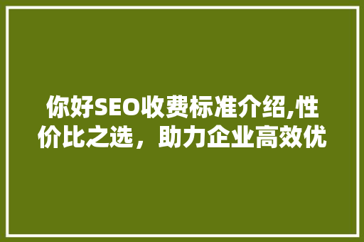 你好SEO收费标准介绍,性价比之选，助力企业高效优化