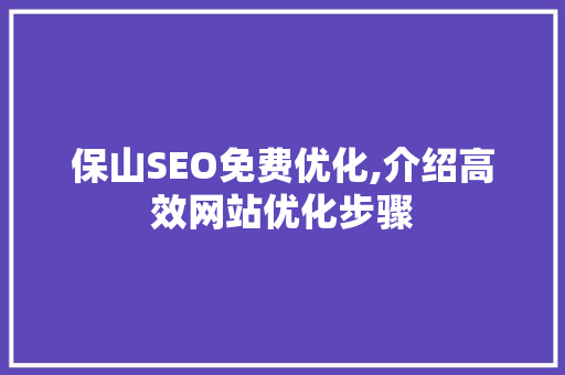 保山SEO免费优化,介绍高效网站优化步骤