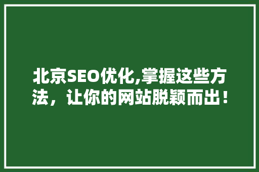 北京SEO优化,掌握这些方法，让你的网站脱颖而出！