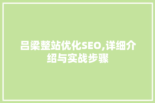 吕梁整站优化SEO,详细介绍与实战步骤