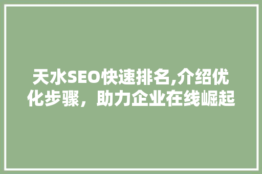 天水SEO快速排名,介绍优化步骤，助力企业在线崛起