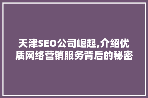 天津SEO公司崛起,介绍优质网络营销服务背后的秘密