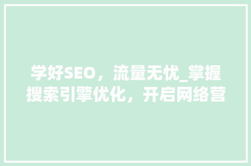 学好SEO，流量无忧_掌握搜索引擎优化，开启网络营销新篇章