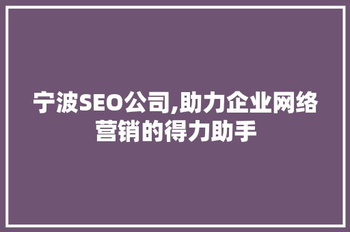 宁波SEO公司,助力企业网络营销的得力助手