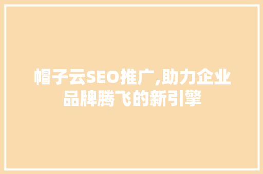 帽子云SEO推广,助力企业品牌腾飞的新引擎