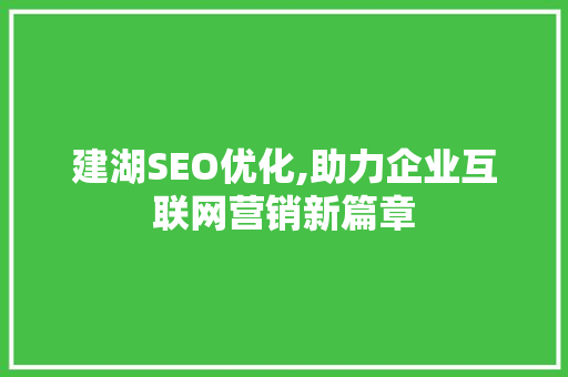 建湖SEO优化,助力企业互联网营销新篇章