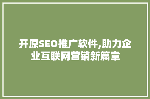 开原SEO推广软件,助力企业互联网营销新篇章
