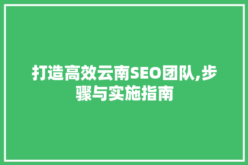 打造高效云南SEO团队,步骤与实施指南