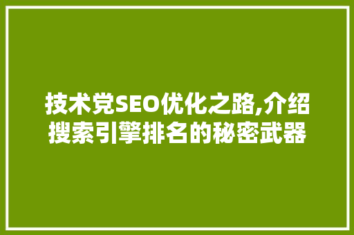 技术党SEO优化之路,介绍搜索引擎排名的秘密武器