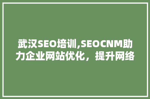 武汉SEO培训,SEOCNM助力企业网站优化，提升网络竞争力