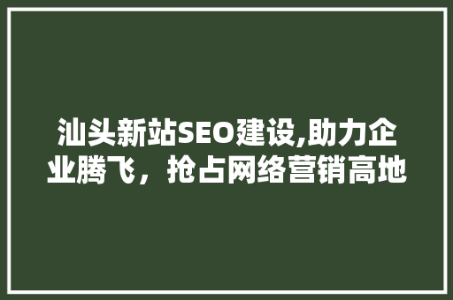 汕头新站SEO建设,助力企业腾飞，抢占网络营销高地