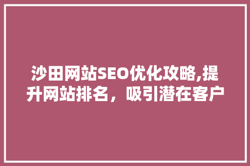 沙田网站SEO优化攻略,提升网站排名，吸引潜在客户