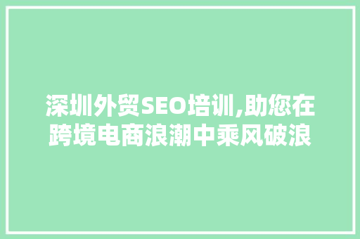 深圳外贸SEO培训,助您在跨境电商浪潮中乘风破浪
