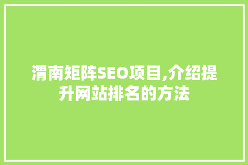 渭南矩阵SEO项目,介绍提升网站排名的方法