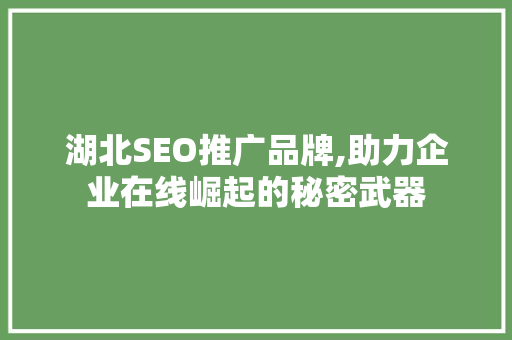 湖北SEO推广品牌,助力企业在线崛起的秘密武器