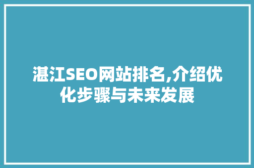 湛江SEO网站排名,介绍优化步骤与未来发展