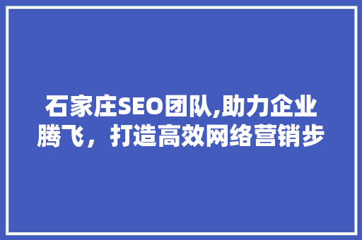 石家庄SEO团队,助力企业腾飞，打造高效网络营销步骤