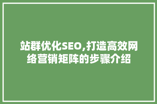 站群优化SEO,打造高效网络营销矩阵的步骤介绍