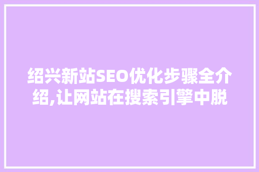 绍兴新站SEO优化步骤全介绍,让网站在搜索引擎中脱颖而出  第1张