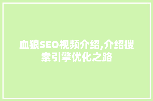 血狼SEO视频介绍,介绍搜索引擎优化之路