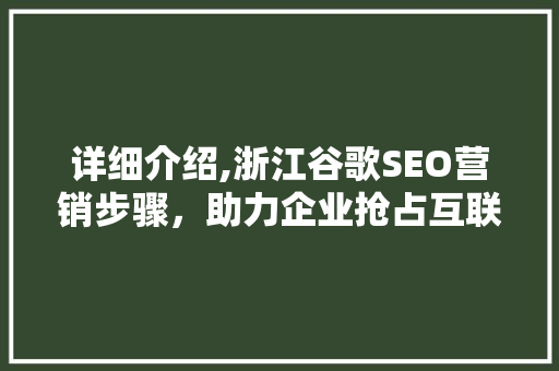 详细介绍,浙江谷歌SEO营销步骤，助力企业抢占互联网市场制高点