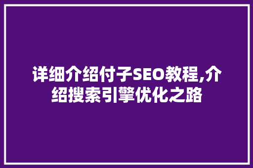 详细介绍付子SEO教程,介绍搜索引擎优化之路