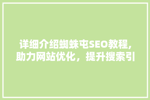 详细介绍蜘蛛屯SEO教程,助力网站优化，提升搜索引擎排名