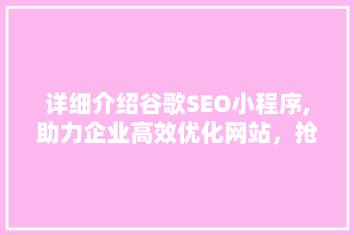 详细介绍谷歌SEO小程序,助力企业高效优化网站，抢占搜索引擎排名高地