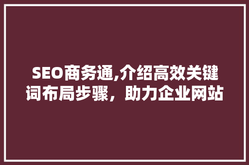 SEO商务通,介绍高效关键词布局步骤，助力企业网站优化
