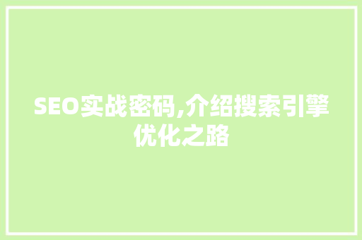 SEO实战密码,介绍搜索引擎优化之路