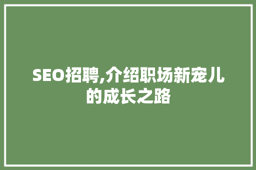 SEO招聘,介绍职场新宠儿的成长之路