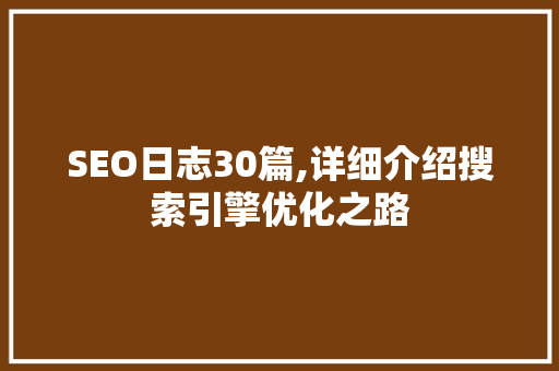 SEO日志30篇,详细介绍搜索引擎优化之路