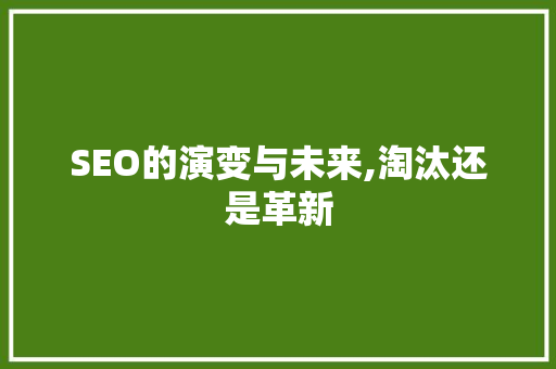 SEO的演变与未来,淘汰还是革新