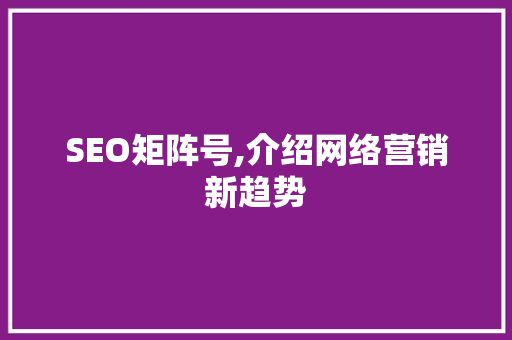 SEO矩阵号,介绍网络营销新趋势