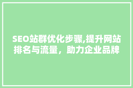 SEO站群优化步骤,提升网站排名与流量，助力企业品牌发展