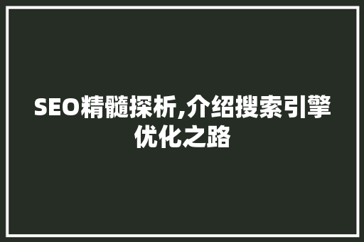 SEO精髓探析,介绍搜索引擎优化之路
