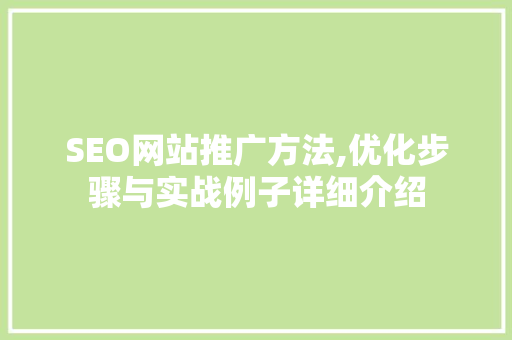 SEO网站推广方法,优化步骤与实战例子详细介绍