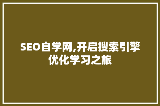 SEO自学网,开启搜索引擎优化学习之旅