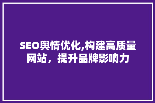 SEO舆情优化,构建高质量网站，提升品牌影响力