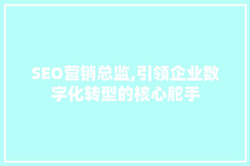 SEO营销总监,引领企业数字化转型的核心舵手