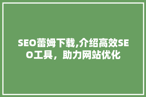 SEO蕾姆下载,介绍高效SEO工具，助力网站优化