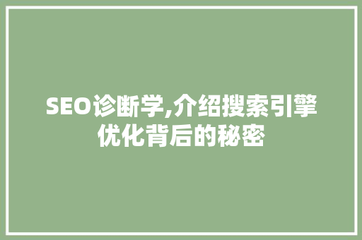 SEO诊断学,介绍搜索引擎优化背后的秘密